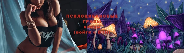 эйфоретик Осинники