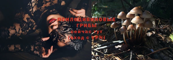 эйфоретик Осинники