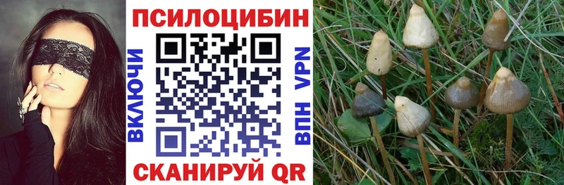 Галлюциногенные грибы GOLDEN TEACHER  Пустошка 